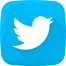 Twitter Icon